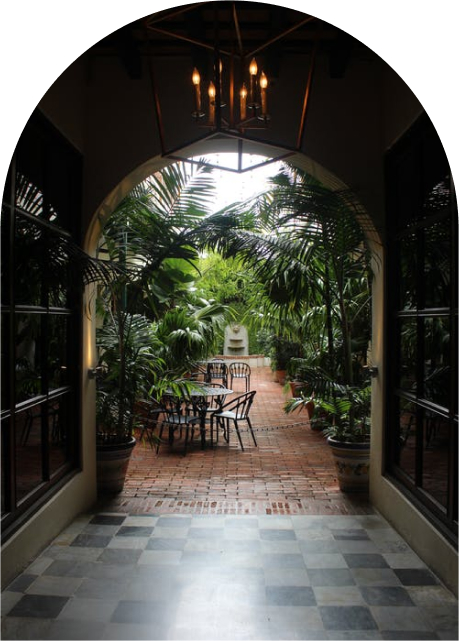 garden